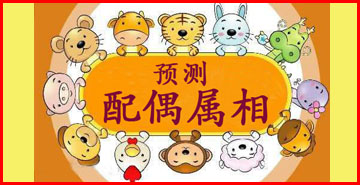 预测配偶属相