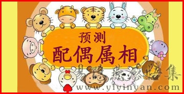 预测配偶属相.jpg
