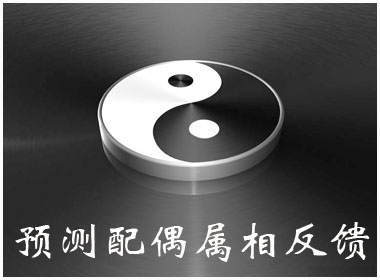 预测配偶属相反馈