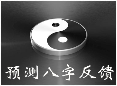 预测八字反馈