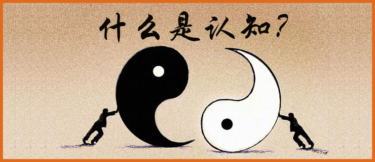 什么是认知？