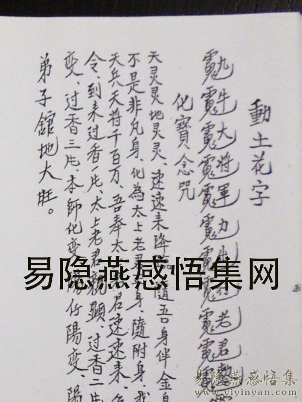 花字2.JPG