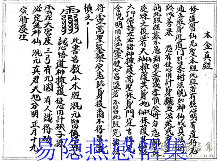 小木金.jpg