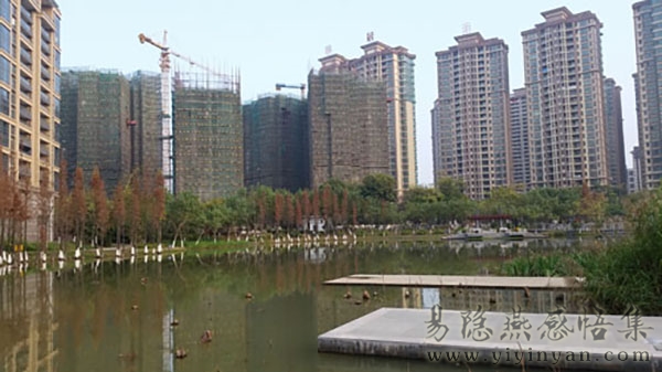 20150201_171833.jpg