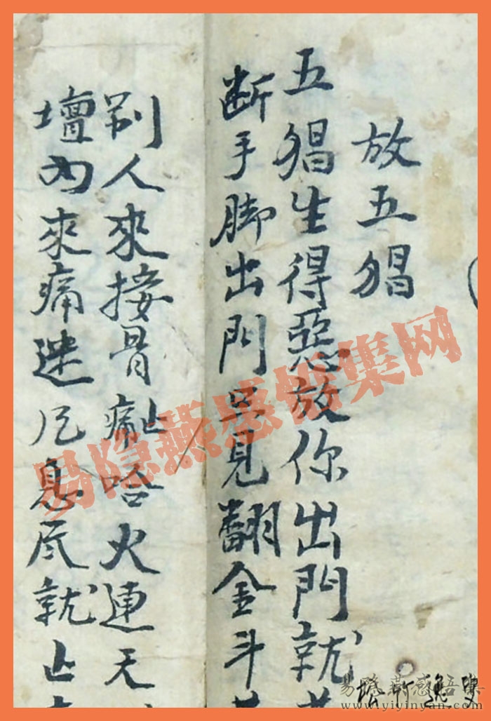 006zKpnszy78vcXfF5n69&690.jpg